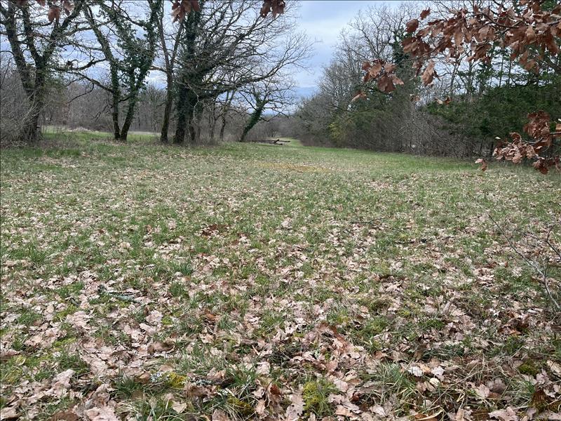 Vente Terrain PROMILHANES - -3392 m² - (46260)