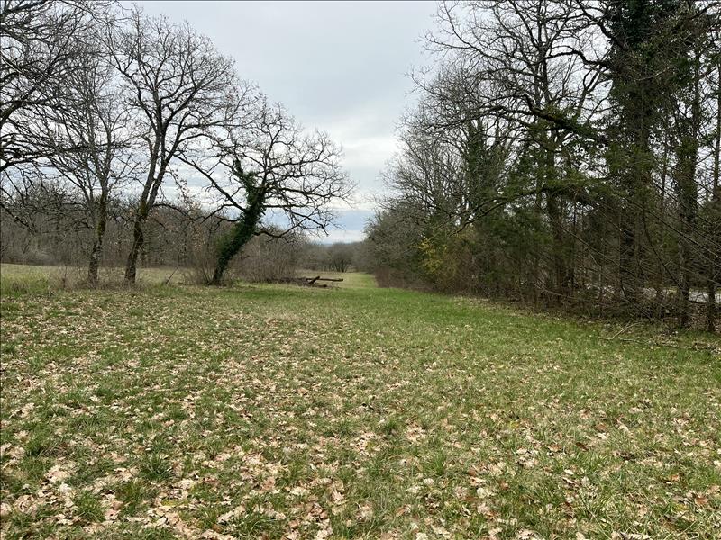 Vente Terrain PROMILHANES - -3392 m² - (46260)