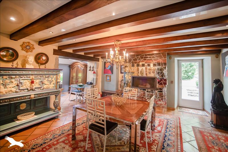 Vente Maison RIEUPEYROUX - 11 pièces -520 m² - (12240)