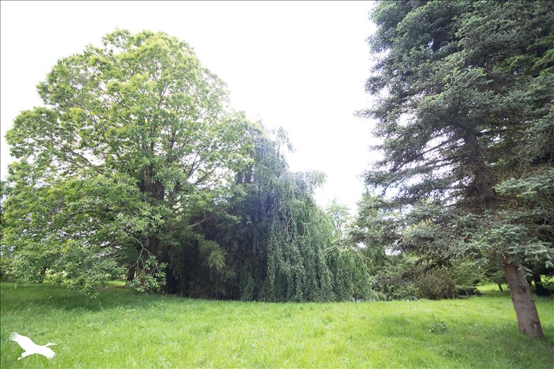 Vente Maison RIEUPEYROUX - 11 pièces -520 m² - (12240)