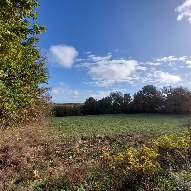 Vente Terrain VAILHOURLES - -4368 m² - (12200)