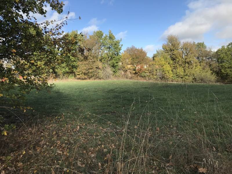 Vente Terrain VAILHOURLES - -4368 m² - (12200)