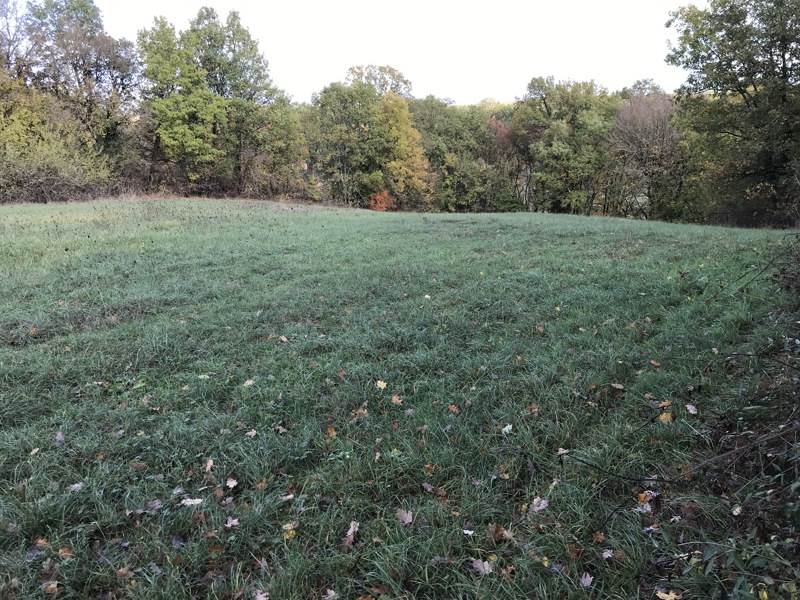 Vente Terrain VAILHOURLES - -4368 m² - (12200)