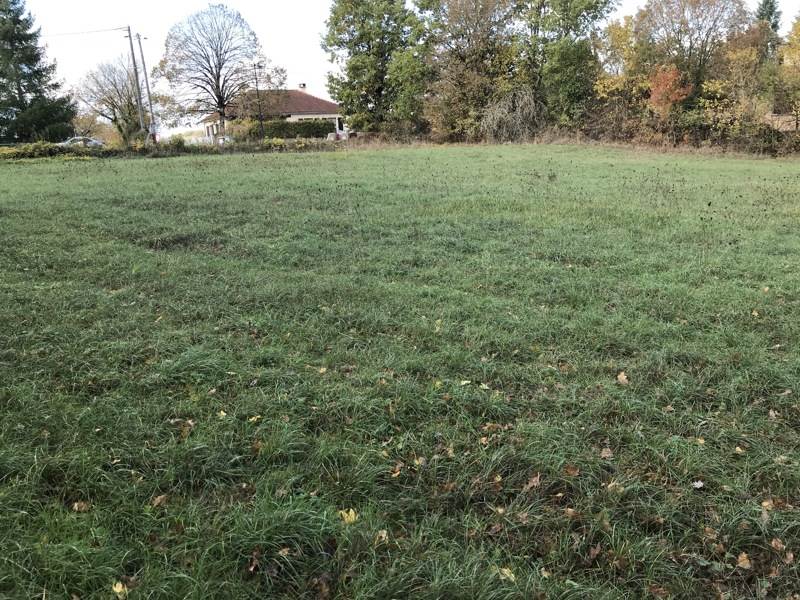 Vente Terrain VAILHOURLES - -4368 m² - (12200)
