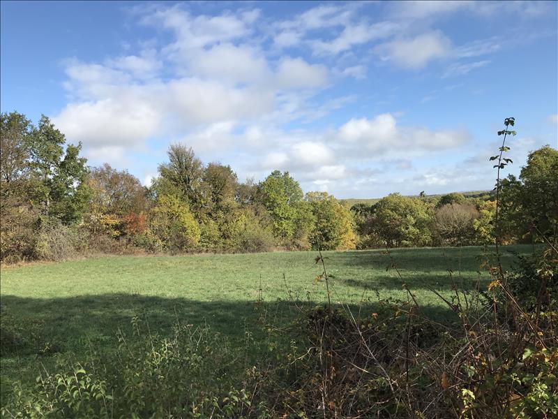 Vente Terrain VAILHOURLES - -4368 m² - (12200)