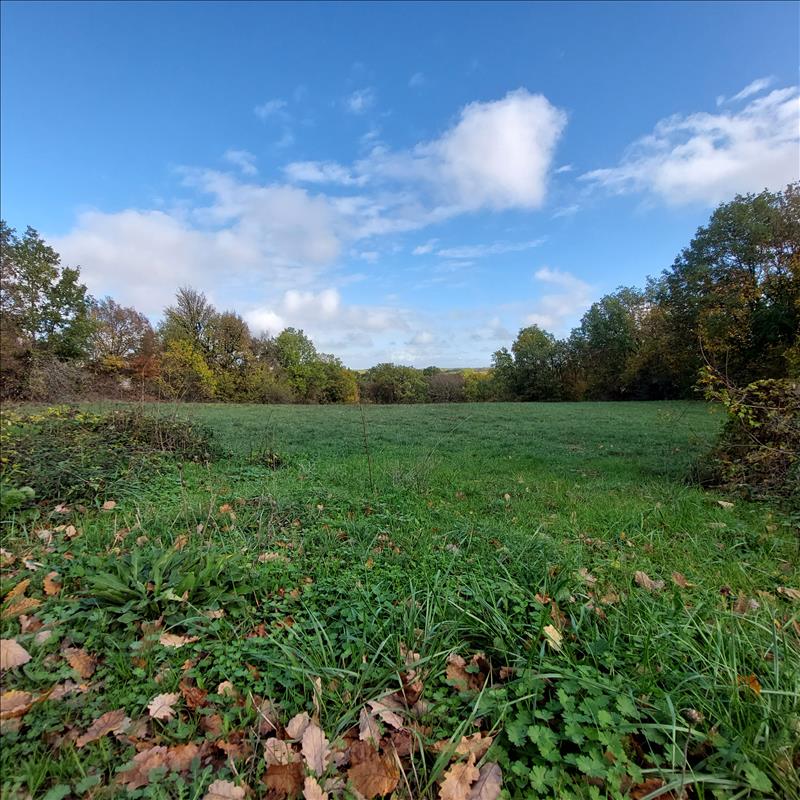 Vente Terrain VAILHOURLES - -4368 m² - (12200)
