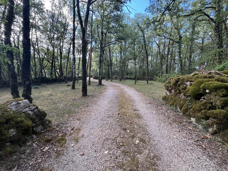Vente Maison Villefranche-de-Rouergue - 7 pièces -275 m² - (12200)