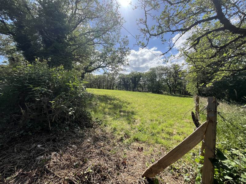 Vente Terrain PARISOT - -3242 m² - (82160)