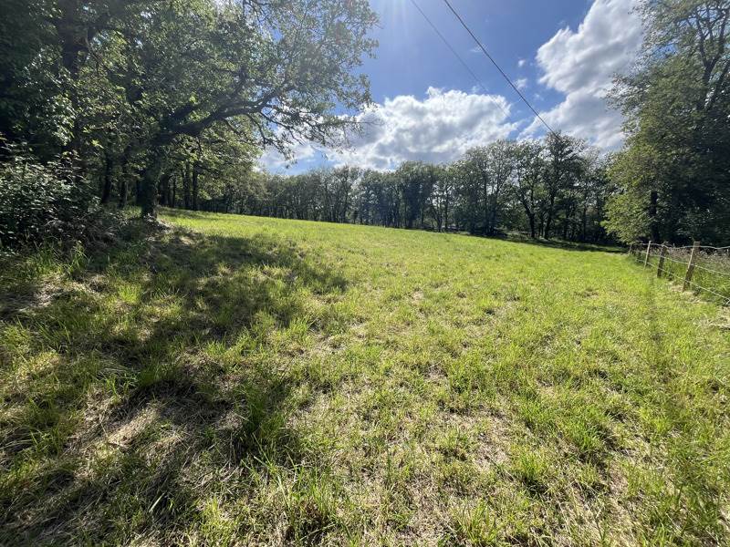 Vente Terrain PARISOT - -3242 m² - (82160)
