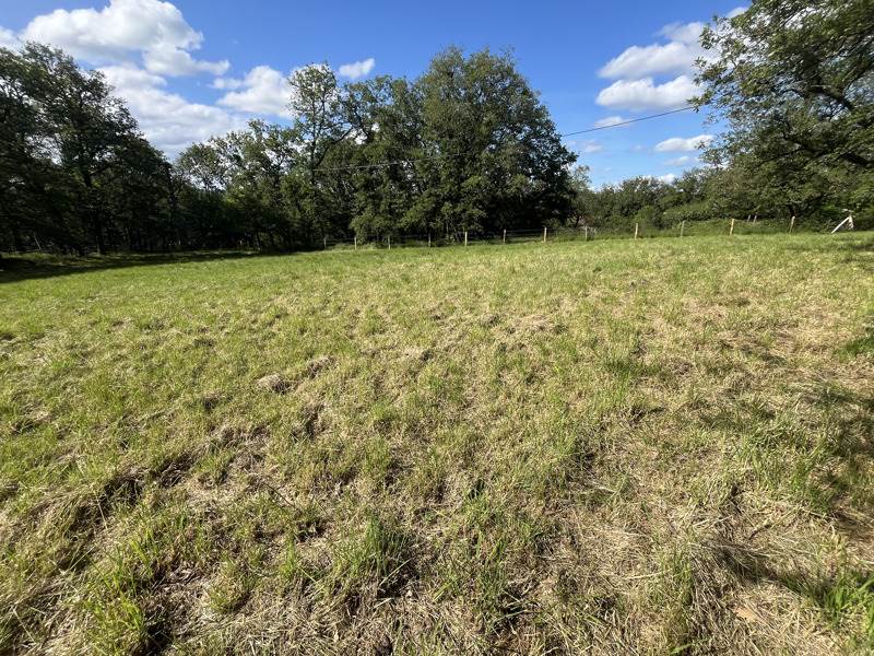 Vente Terrain PARISOT - -3242 m² - (82160)