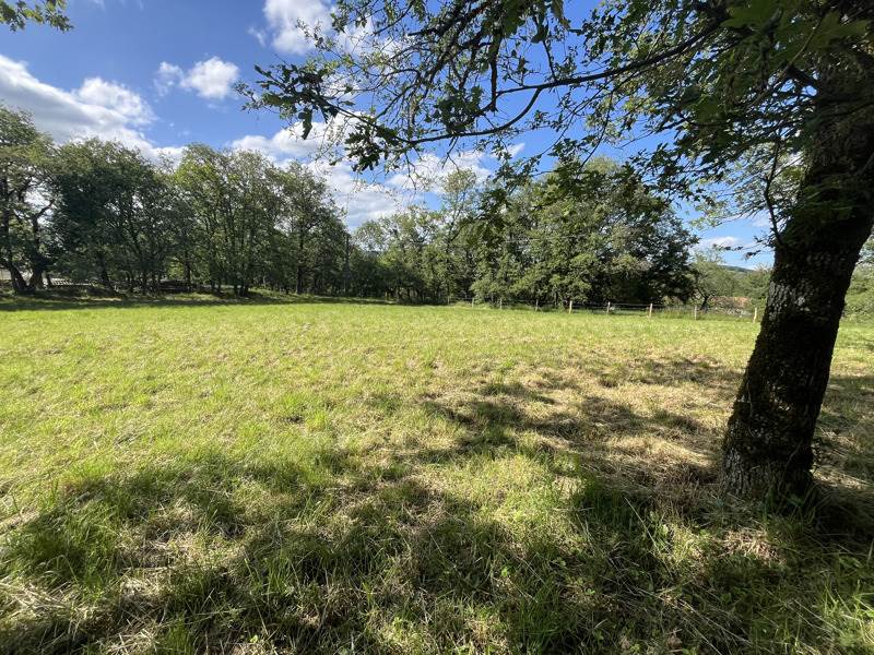 Vente Terrain PARISOT - -3242 m² - (82160)