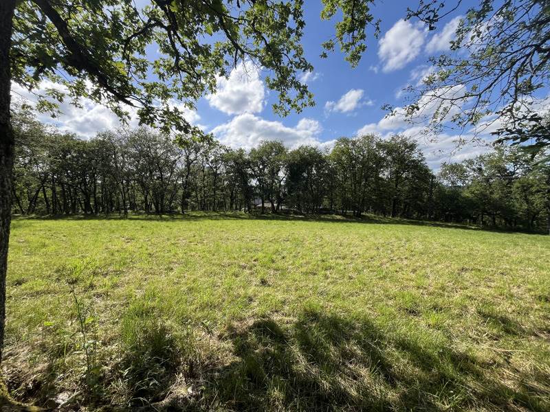 Vente Terrain PARISOT - -3242 m² - (82160)