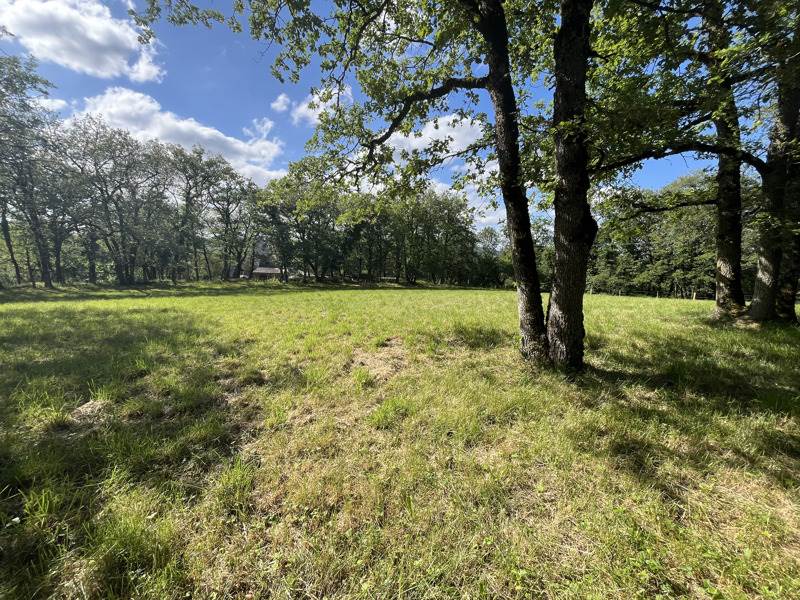 Vente Terrain PARISOT - -3242 m² - (82160)