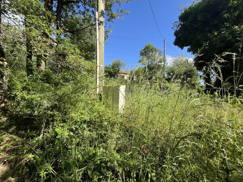 Vente Terrain PARISOT - -3242 m² - (82160)