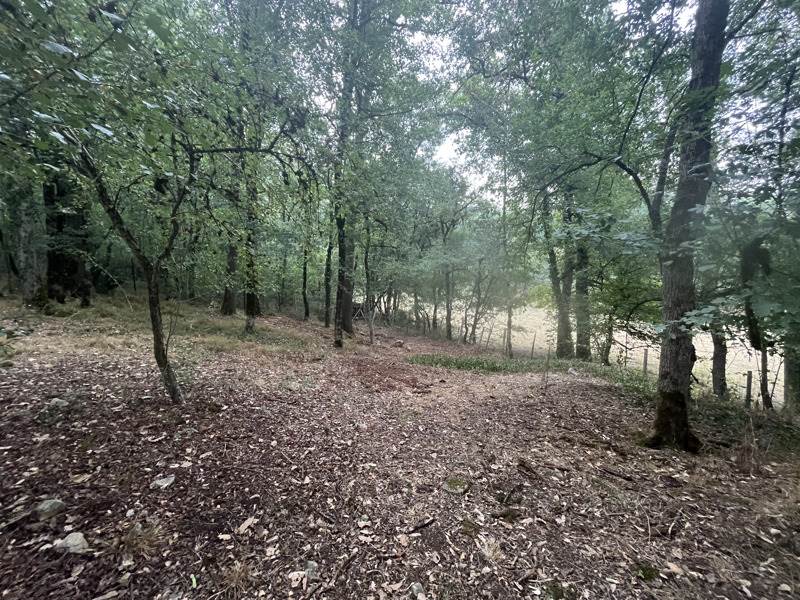 Vente Maison TOULONJAC - 6 pièces -130 m² - (12200)
