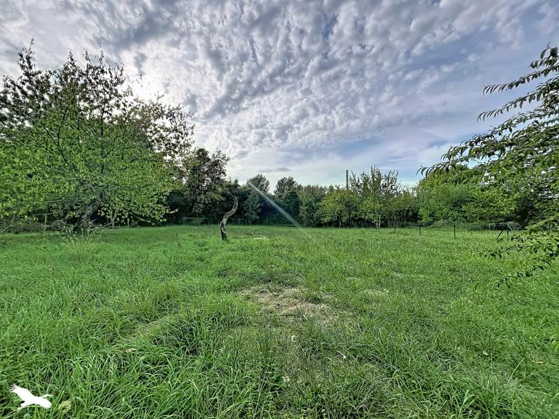 Vente Maison Villefranche-de-Rouergue - 7 pièces -156,5 m² - (12200)