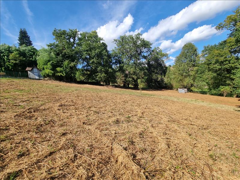 Vente Terrain MAURS - -3732 m² - (15600)