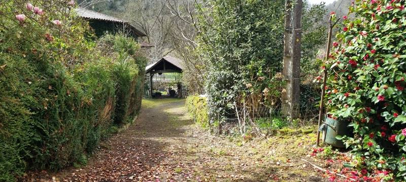 Vente Maison MAURS - 3 pièces -96 m² - (15600)