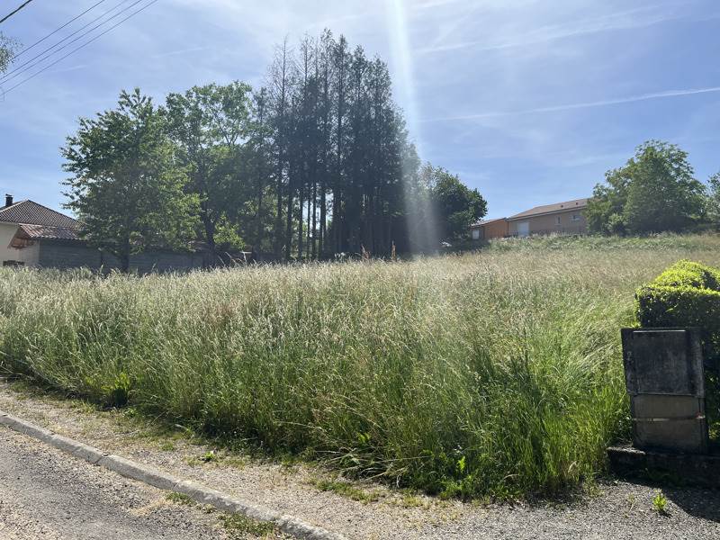 Vente Terrain Montet-et-Bouxal - -1289 m² - (46210)