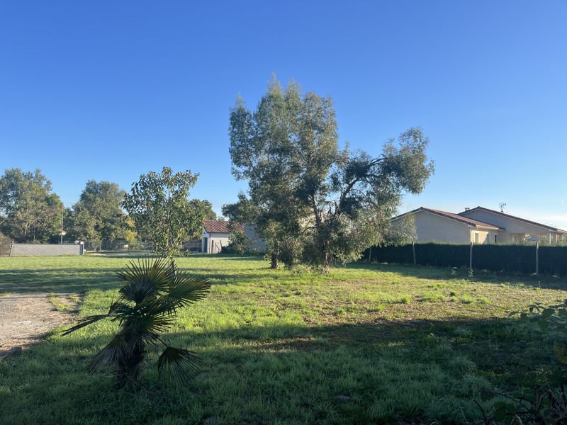 Vente Terrain BRESSOLS - -768 m² - (82710)