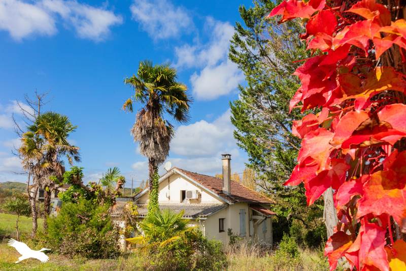 Vente Maison AUCH - 5 pièces -102 m² - (32000)