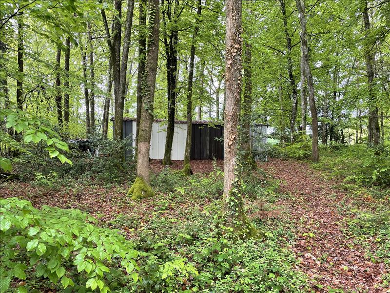 Vente Maison MOURIOUX VIEILLEVILLE - 2 pièces -50 m² - (23210)