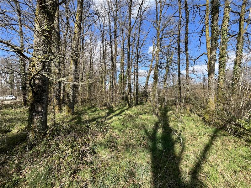 Vente Terrain ST DIZIER MASBARAUD - -4408 m² - (23400)