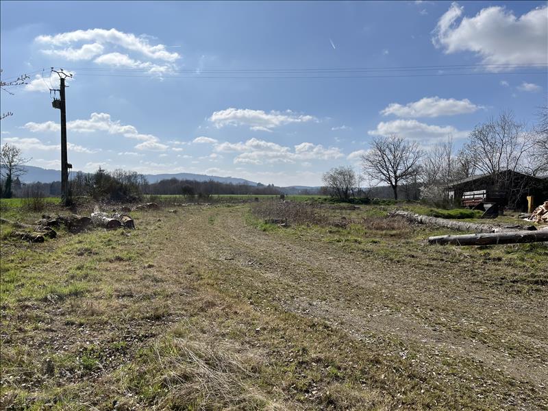 Vente Terrain ST DIZIER MASBARAUD - -4408 m² - (23400)