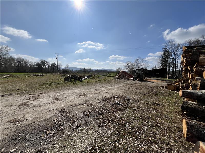 Vente Terrain ST DIZIER MASBARAUD - -4408 m² - (23400)