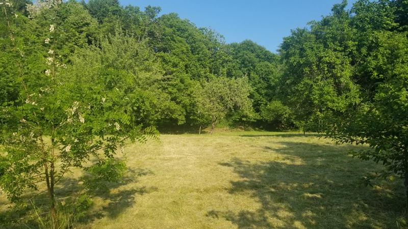 Vente Terrain BOURGANEUF - -3457 m² - (23400)