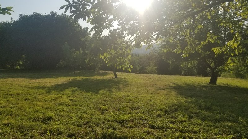 Vente Terrain BOURGANEUF - -3457 m² - (23400)