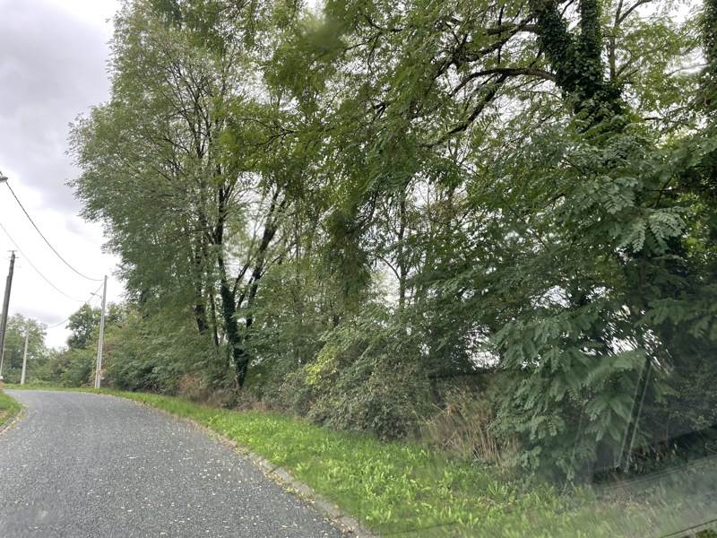 Vente Terrain BOURGANEUF - -5416 m² - (23400)