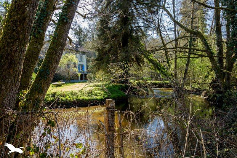 Vente Maison JANAILLAT - 9 pièces -206 m² - (23250)