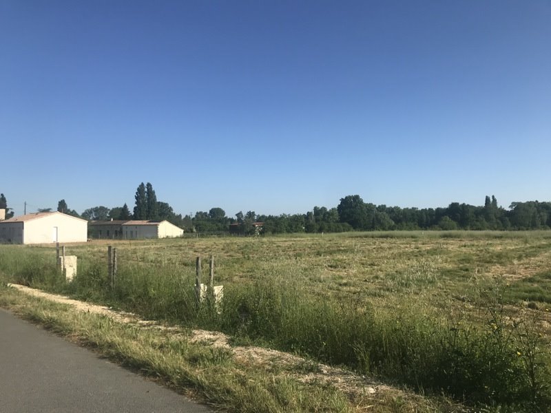 Vente Terrain ST CHRISTOLY DE BLAYE - -1045 m² - (33920)