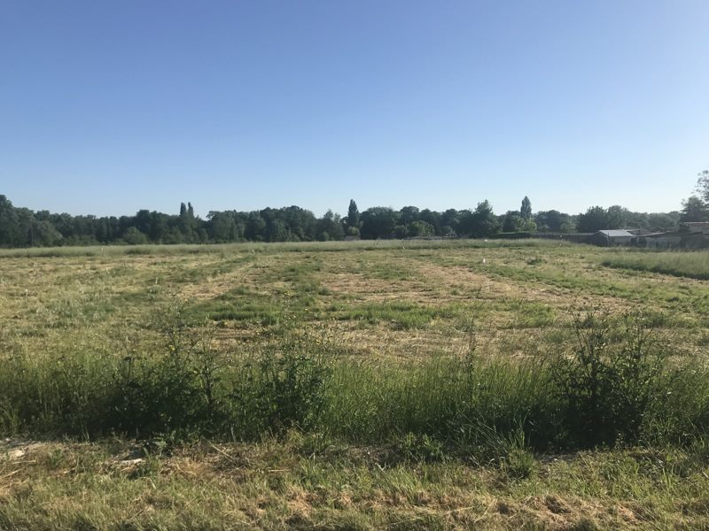 Vente Terrain ST CHRISTOLY DE BLAYE - -1045 m² - (33920)