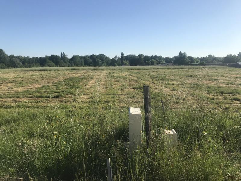 Vente Terrain ST CHRISTOLY DE BLAYE - -1200 m² - (33920)