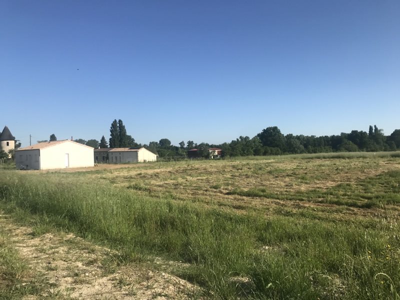 Vente Terrain ST CHRISTOLY DE BLAYE - -1200 m² - (33920)