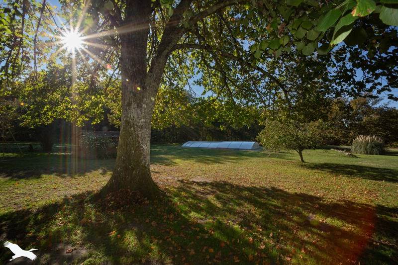 Vente Maison ST CHRISTOLY DE BLAYE - 8 pièces -350 m² - (33920)