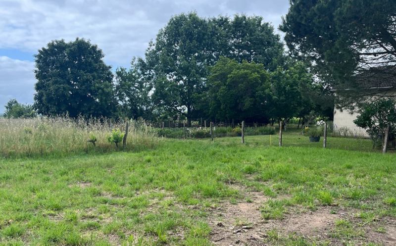 Vente Terrain ST AUBIN DE BLAYE - -528 m² - (33820)