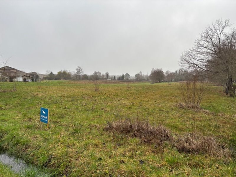 Vente Terrain ETAULIERS - -1106 m² - (33820)