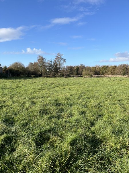 Vente Terrain ETAULIERS - -1106 m² - (33820)