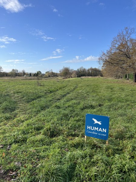 Vente Terrain ETAULIERS - -905 m² - (33820)