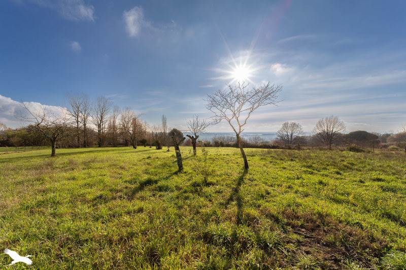 Vente Maison PLASSAC - 3 pièces -71 m² - (33390)
