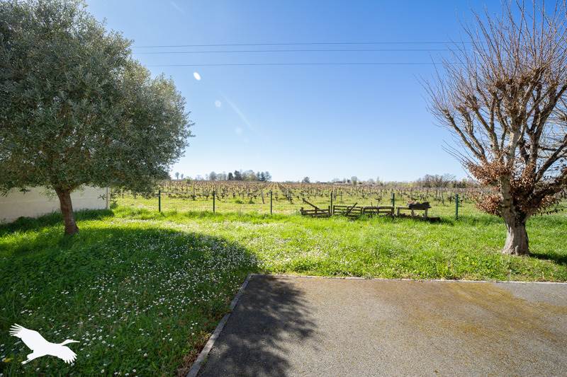 Vente Maison BLAYE - 5 pièces -120 m² - (33390)