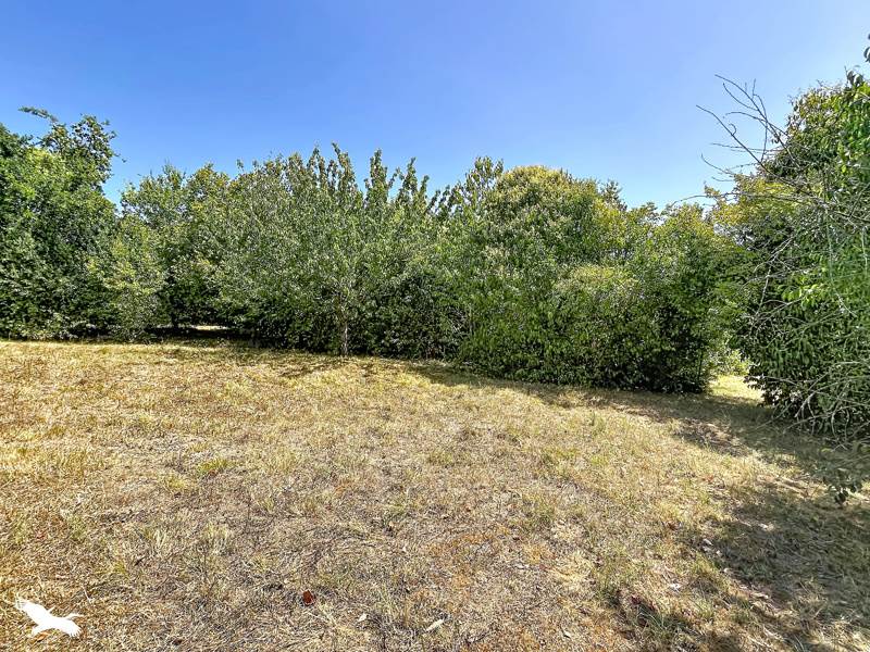 Vente Maison ST MARTIN LACAUSSADE - 7 pièces -194 m² - (33390)
