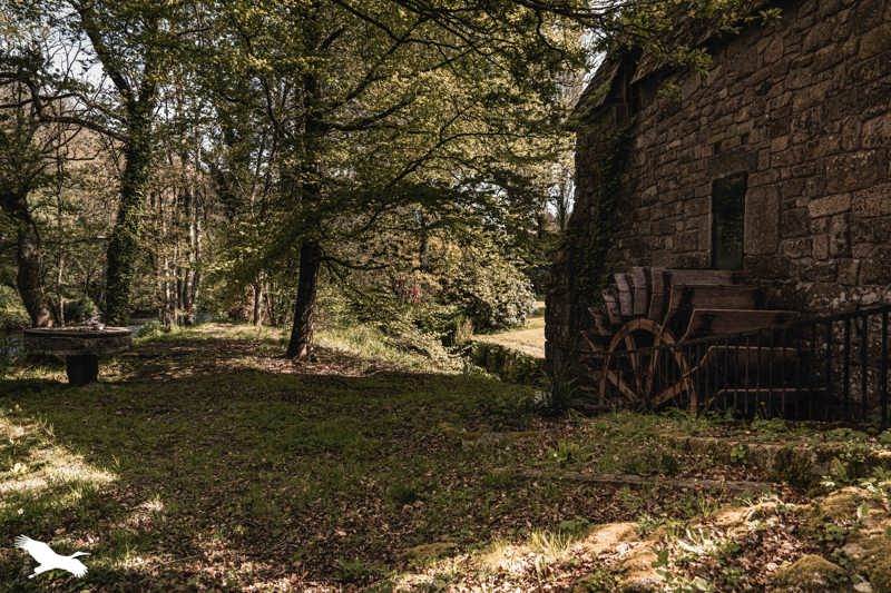 Vente Maison TREGROM - 9 pièces -280 m² - (22420)