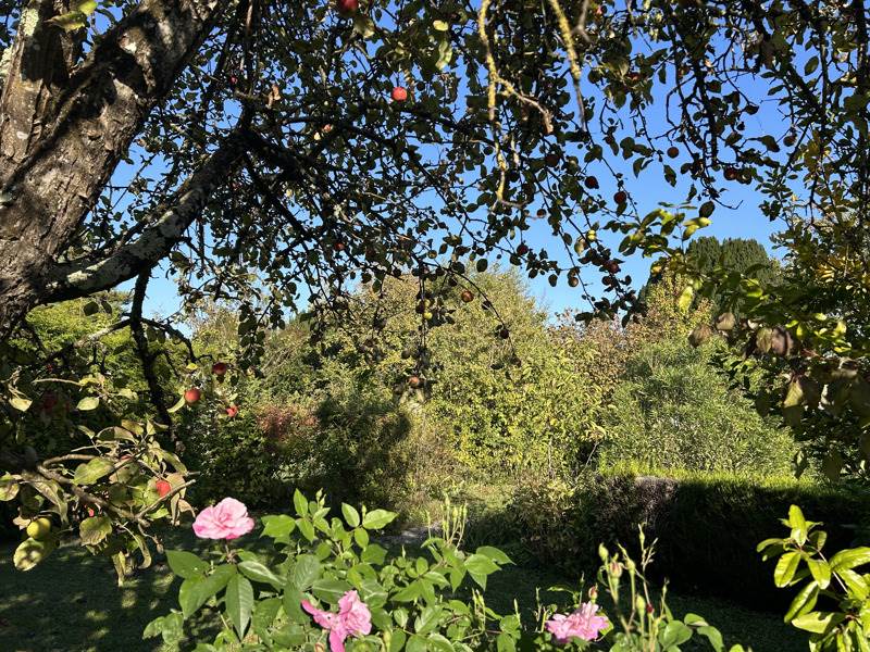 Vente Maison JARNAC - 6 pièces -117 m² - (16200)