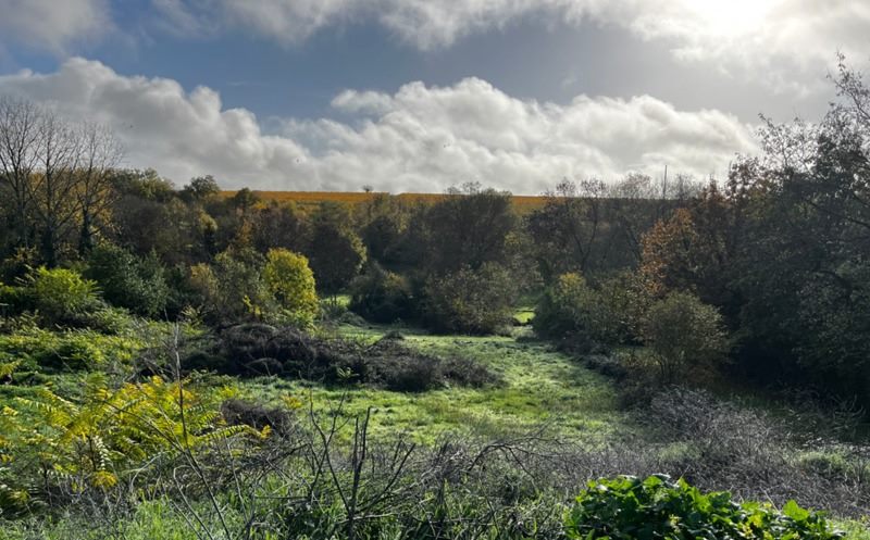 Vente Terrain FLEURAC - -4540 m² - (16200)