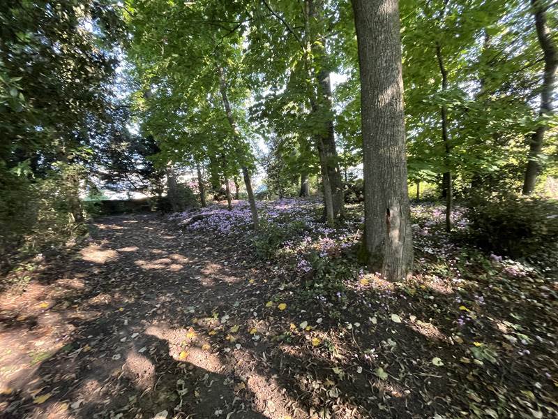 Vente Maison DESCARTES - 8 pièces -196 m² - (37160)