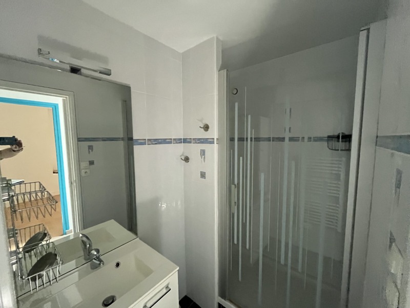 Vente Immeuble DESCARTES - -  219 m² - (37160)